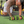 Revoflex Xtreme Abdominal Trainer