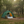 Outdoor Dome Camping Tent