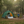 Outdoor Dome Camping Tent