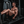 NP Nutrition – Weight Gainer NXT (Original) ©