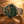 Omega - Seamaster Diver 300M Mesh (A+) Ⓢ