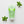 Simple - Refreshing Facial Wash (Original) - Zambeel