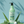 Washami - Aloe Vera Shampoo